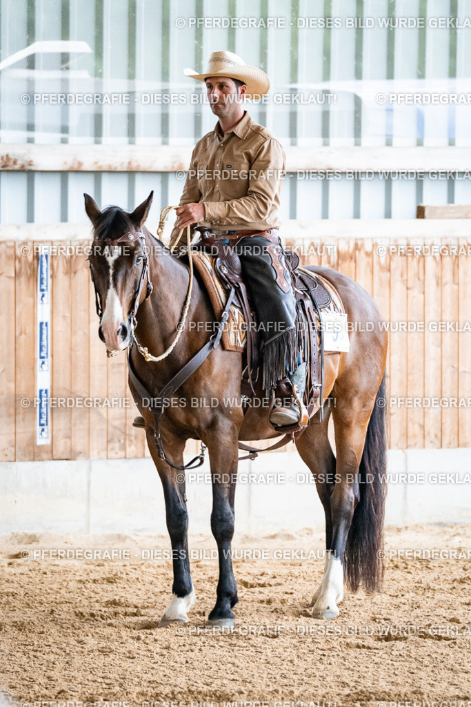 DSC09914 | Pferdegrafie