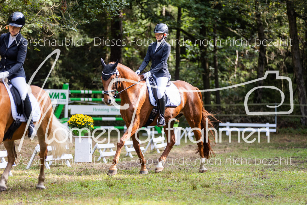 HB-Dressur-WB-046 | MomenTaufnahmen Pferdesportfotos