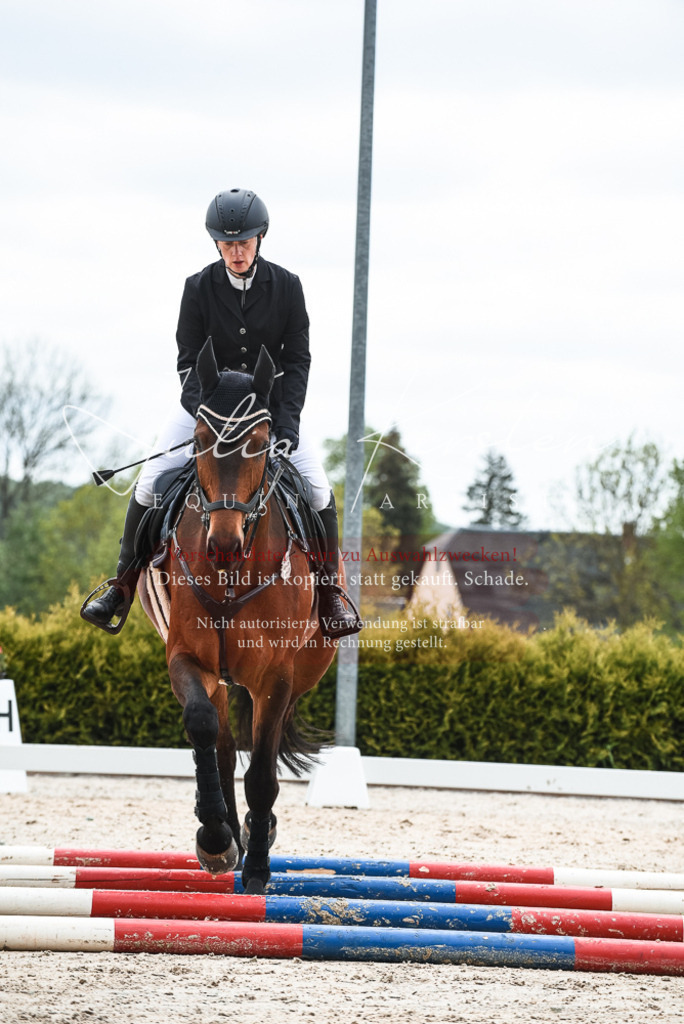 20230518_JK-Röhrsdorf-10-329 | Pferde- und Turnierfotografie in Westsachsen. Pferdeportraits, Auftragszeichnungen und intuitive Kunst.