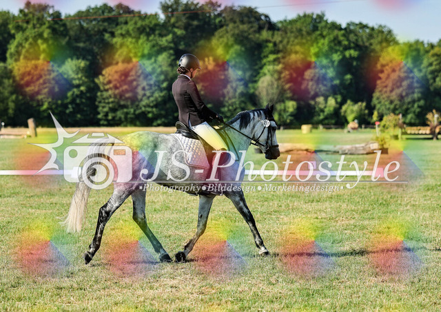 20260628_14a_VA_Dressur-3 | JS-Photostyle - Sport-/Portrait- & Eventfotografie