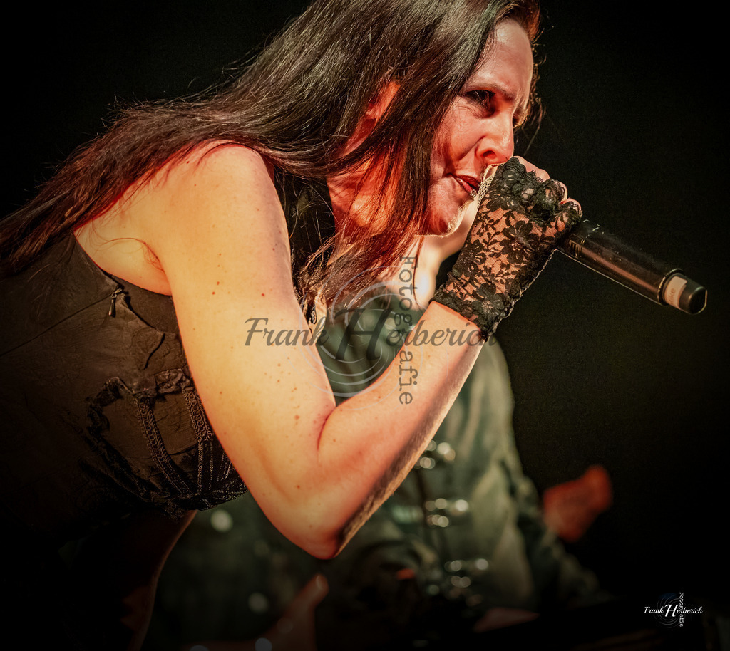 A Night In Temptation 07.02.2026 Geiselwind  | Frank Herberich Fotografie, Frank Herberich, Fotografie, Hochzeit, Portrait, St. Peter Ording, Ording, Westerhever, Nordsee, Frank Fotografie, Hardheim,  Odenwald,Walldürn, Band,Eventfotografie - Realisiert mit Pictrs.com