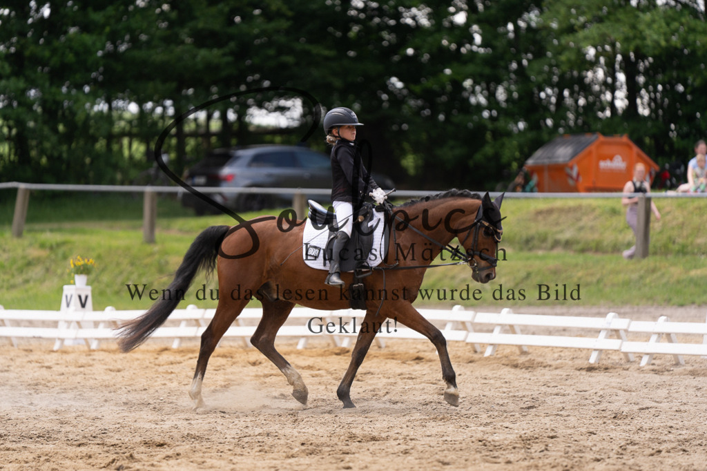 A7506021 | Turnier/Reitfotograf