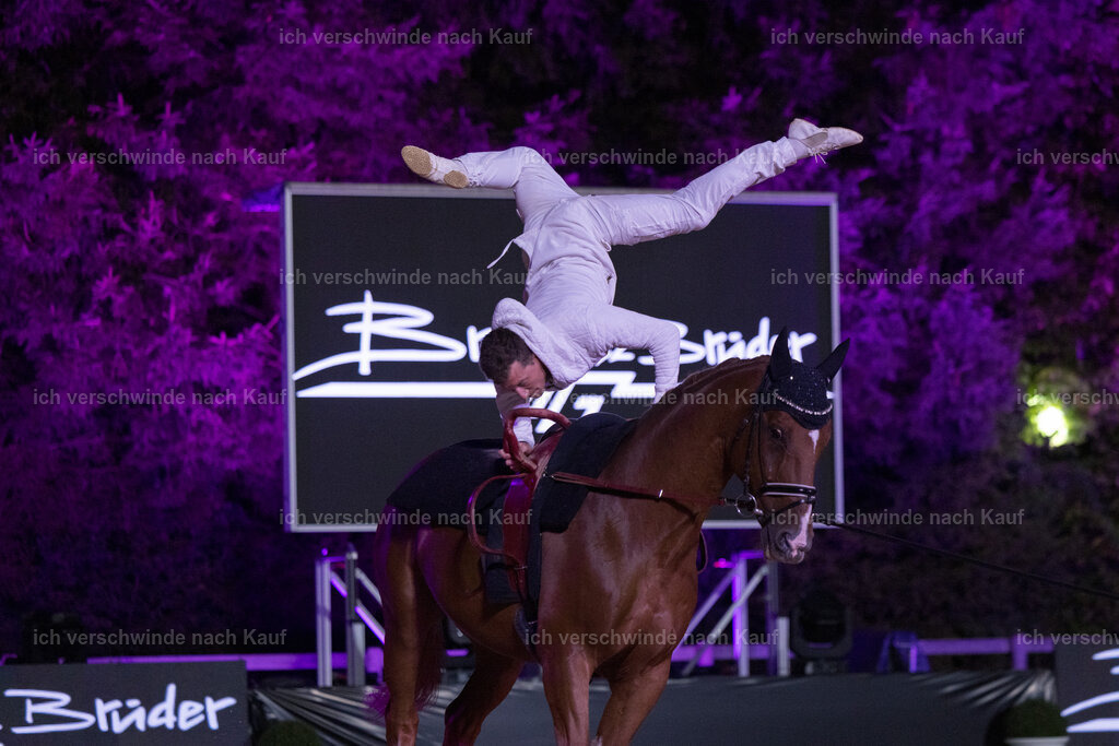 Gala-255 | working equitationturnier fotograf videograf stoibphotography marixx film working equitation deutschland reitsport turnierfotografie eventfotografie equestrian events