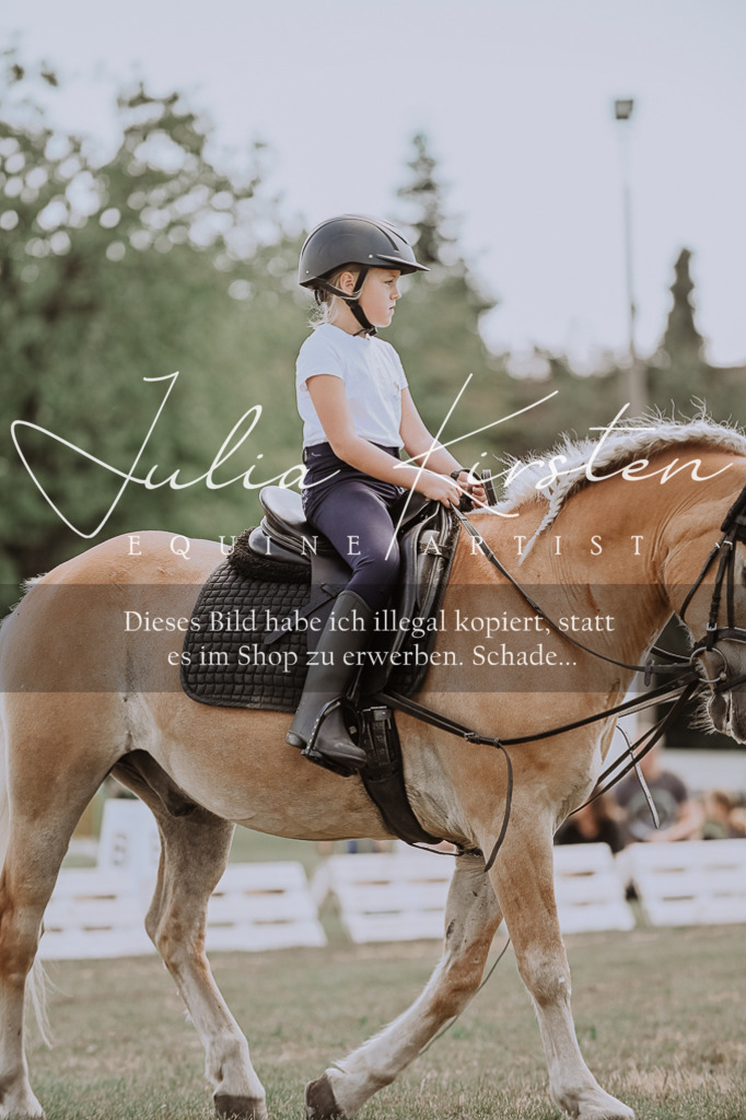 DSC_7710 | Pferde- und Turnierfotografie in Westsachsen. Pferdeportraits, Auftragszeichnungen und intuitive Kunst.