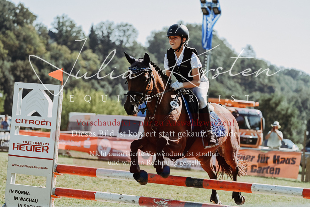 DSC_6930 | Pferde- und Turnierfotografie in Westsachsen. Pferdeportraits, Auftragszeichnungen und intuitive Kunst.