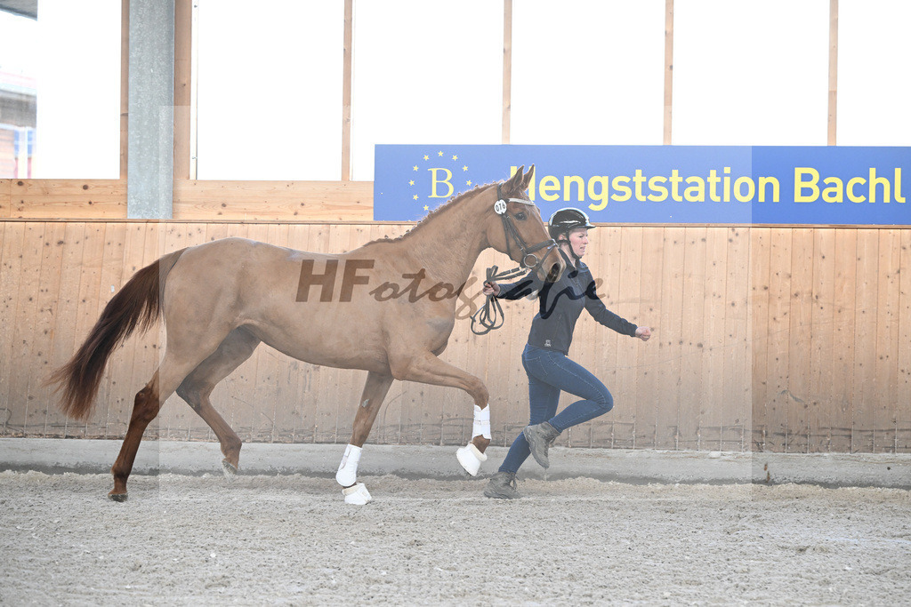 Kat-Nr. 76 Svarovski v. Morricone III_Fischer_5251983 | hf-fotografie - Realizzato con Pictrs.com