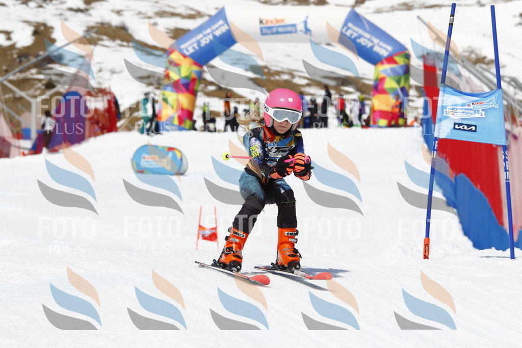 _U3G8295 | holidayphoto