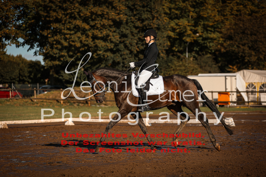 13.SoDrA100212 | Leoni Ertmer Photography - Realisiert mit Pictrs.com