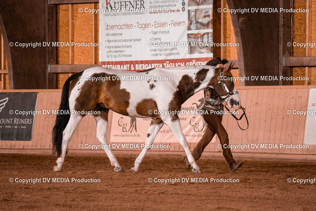 NE200036 | dv-media-shop - Realized with Pictrs.com