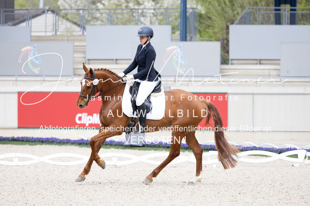 126A5987 | jasminmetznerfotografie