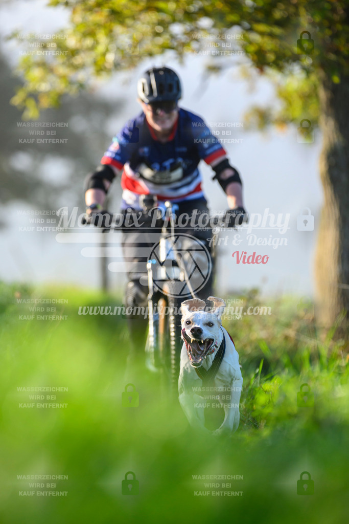 MompixPhotography_20TSB_E3_Bike-207 | PayLife