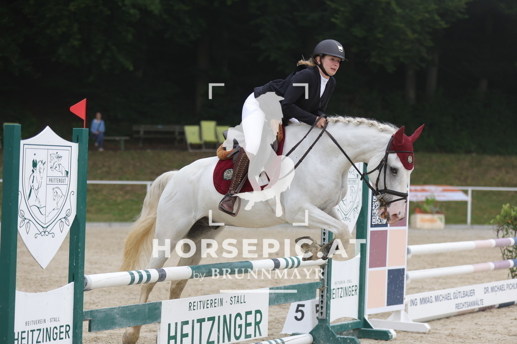 0P6A7588 | Willkommen bei Brunnmayr - Design & Fotografie – Ihrem Spezialisten für Reitturniere und Pferdeveranstaltungen in Oberösterreich, Salzburg und Bayern! Seit über 17 Jahren sind wir leidenschaftlich dabei.