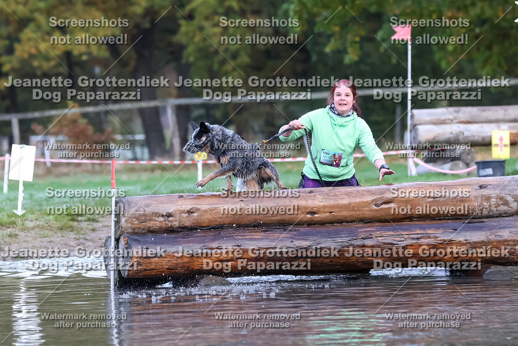 Dog Paparazzi - Strongdog 10-25-6372 | Dog Paparazzi Jeanette Grottendiek Fotografie & Videografie - Realisiert mit Pictrs.com