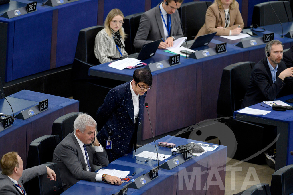 _DWI0293 | Christine ANDERSON (MdEP 2019-2024, AFD, DE) bei Wiederaufnahme der letzte Plenarsitzung. Das Europäische Parlament in Straßburg, 22.04.2024 - Realisiert mit Pictrs.com