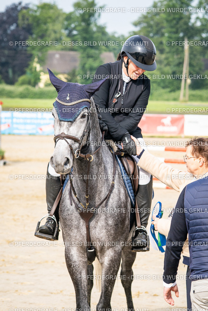 DSC09124 | Pferdegrafie