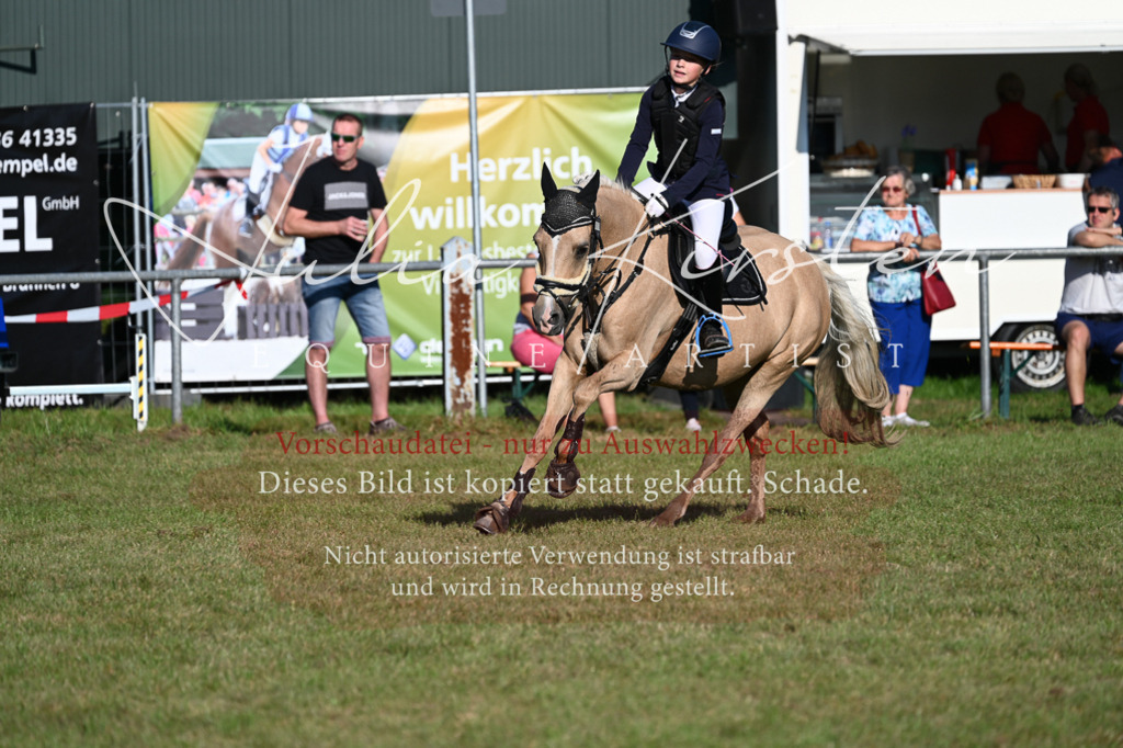 DSC_4734 | Pferde- und Turnierfotografie in Westsachsen. Pferdeportraits, Auftragszeichnungen und intuitive Kunst.
