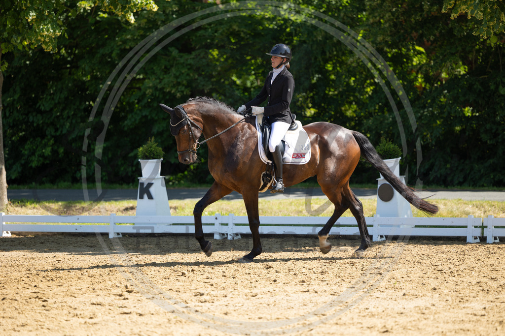 994A2958 | sabrinanicolaifotografie - Realisiert mit Pictrs.com