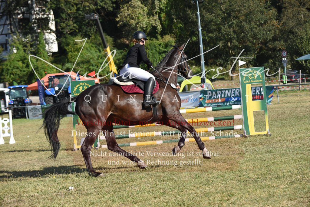 DSC_5381 | Pferde- und Turnierfotografie in Westsachsen. Pferdeportraits, Auftragszeichnungen und intuitive Kunst.