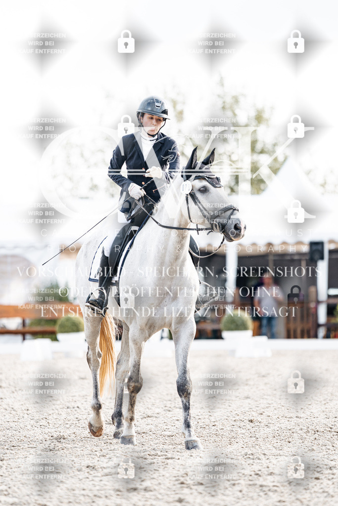 CK900612 | Turnierfotografie Pferdefotografie Trier Rheinland-Pfalz Pferdesport Reitsport Tierfotografie Sportfotografie Pferdevideo Pferdevideografie Equestrianvideography equestrianphotography  - Realisiert mit Pictrs.com