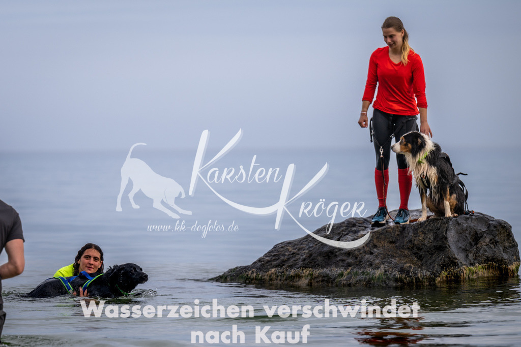 1217_ZZ90799 | kk-dogfotos