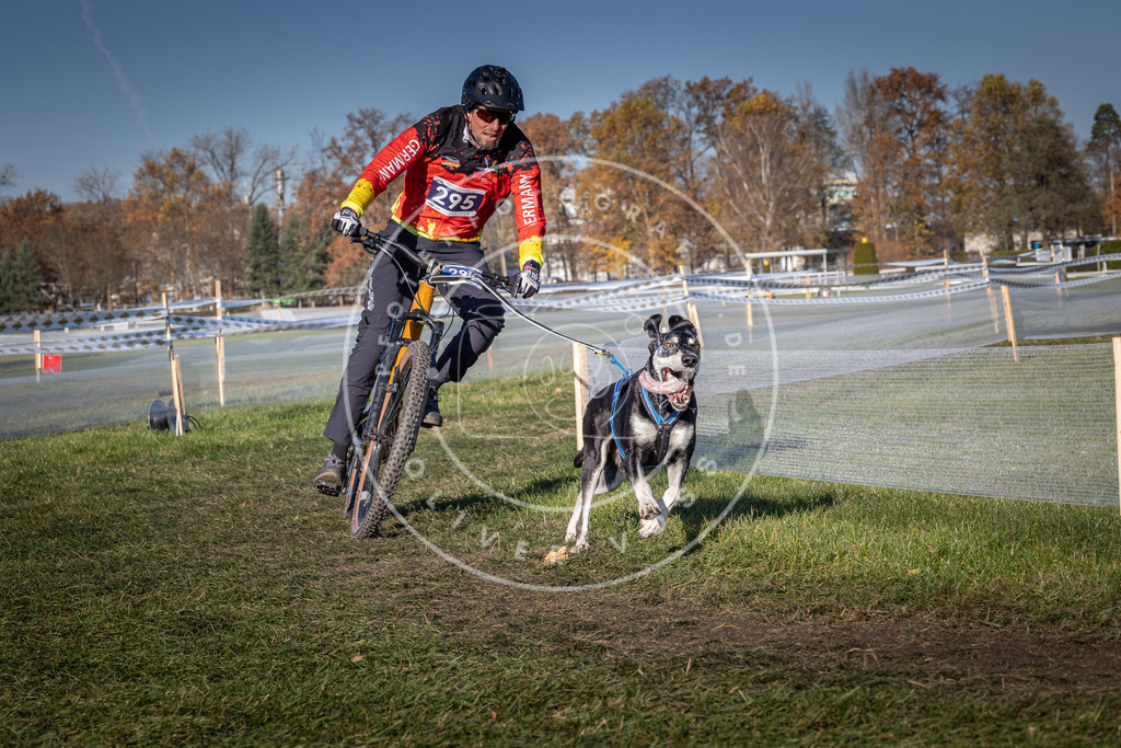 CaniXpix_0L8A5408 | Hundefotografie, Tierfotograf, Pfotenfotografie, Fotoshooting Hund, Hunde Portrait, Hundesport, Hundeportraits, Heideshooting, Hunde, Sportfotograf, Hundefotograf, Turnierhundsport, THS,  - Realisiert mit Pictrs.com