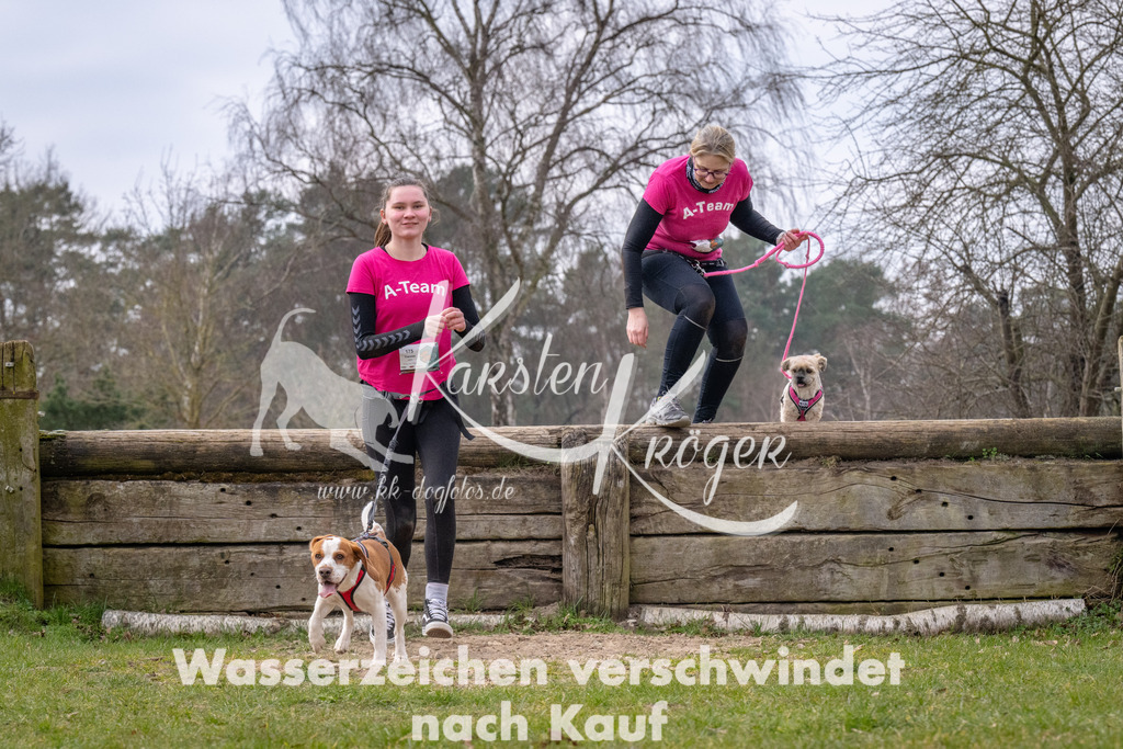 _ZZ91588 | kk-dogfotos
