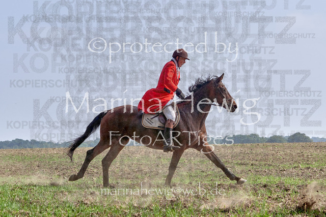 09-23 Jagd Perdöl_MCH0063_Marina Hewig | Fotografie, FotoArt, PferdesportArt, Pferdesportfotografie, Landschaftsfotografie, Reisefotografie, Reise, Pferde - Realisiert mit Pictrs.com