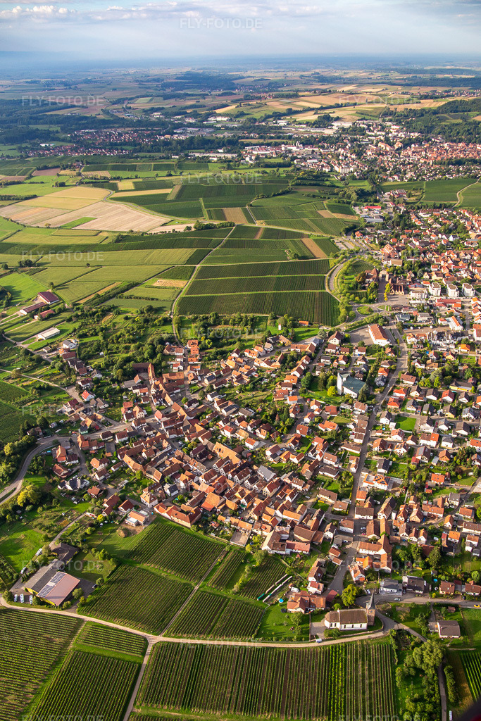 Luftbild: Ortsansicht von Norden im Ortsteil Rechtenbach in Schweigen-Rechtenbach im Bundesland Rheinland-Pfalz in Deutschland. Foto: IMG_137705.jpg vom 12.08.2023 durch Werner Riehm/FLY-FOTO.de
