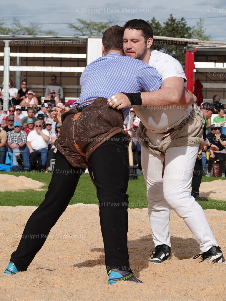 DSC06436 | Schwingen - Realisiert mit Pictrs.com