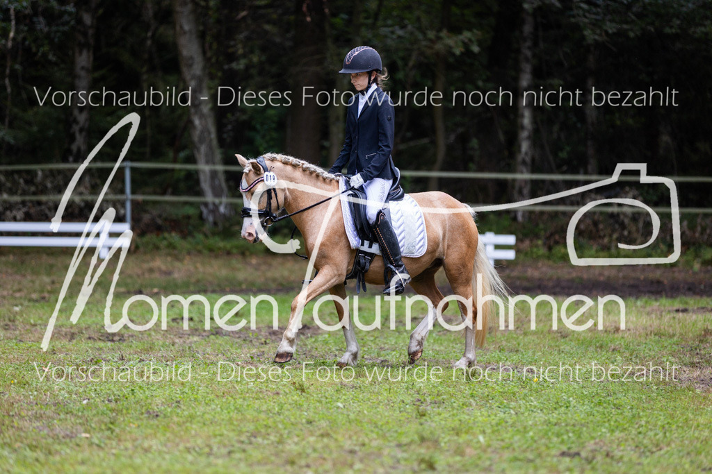 HB-Dressur-WB-002 | MomenTaufnahmen Pferdesportfotos