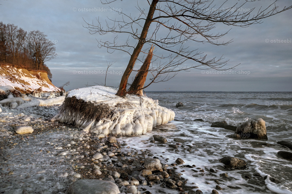 Eiskalter Wintermorgen am Brodtener Ufer | Ein Stück des Steilufers liegt nach einem Kliffabbruch bei Frost wie eine Insel am Ostseestrand.