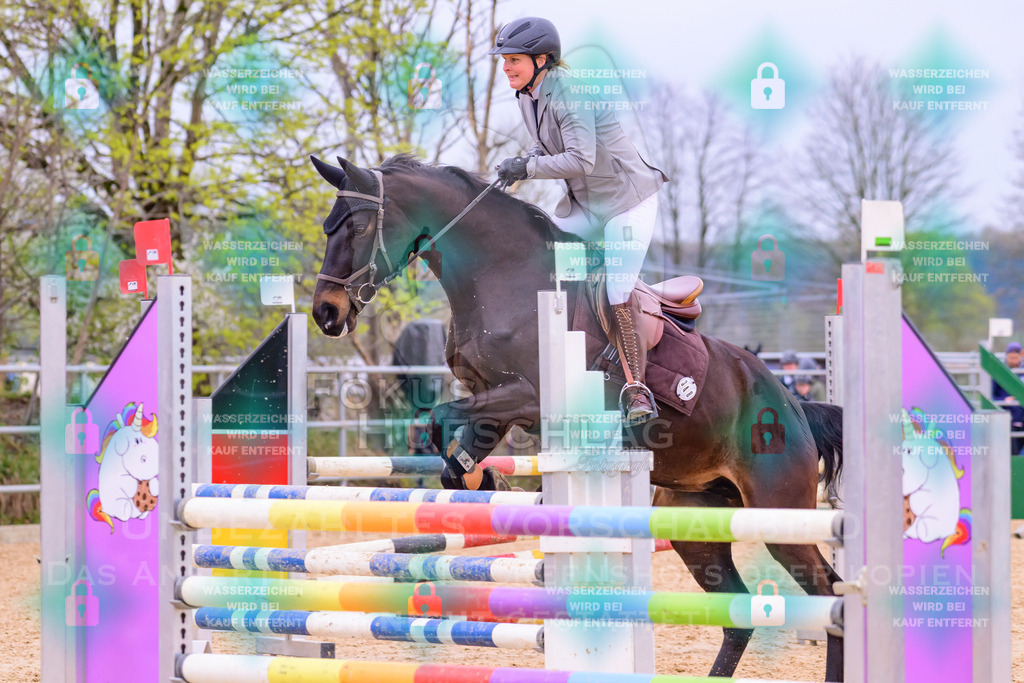 10042026-Mammendorf-Prfg17-0594 | Fokus Hufschlag Fotografie - Realisiert mit Pictrs.com