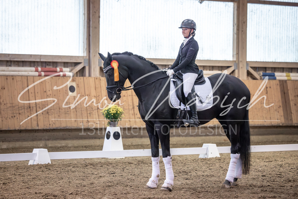 20251011-_3LI2309 | Tierfotografie Pferde, Hunde, Katzen, Haustiere.
Turnierfotografie Reitturniere, Reiten, Springreiten, Dressur in Hanau, dem Main-Kinzig-Kreis und dem Rhein-Main- Gebiet um Frankfurt