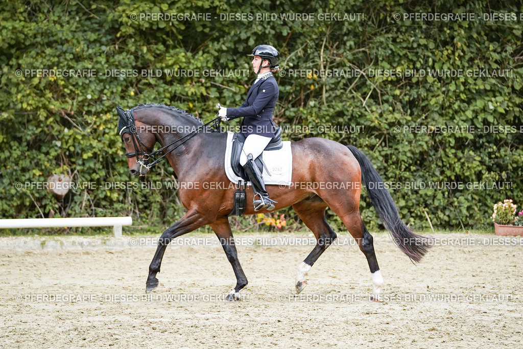 DSC06413 | Pferdegrafie