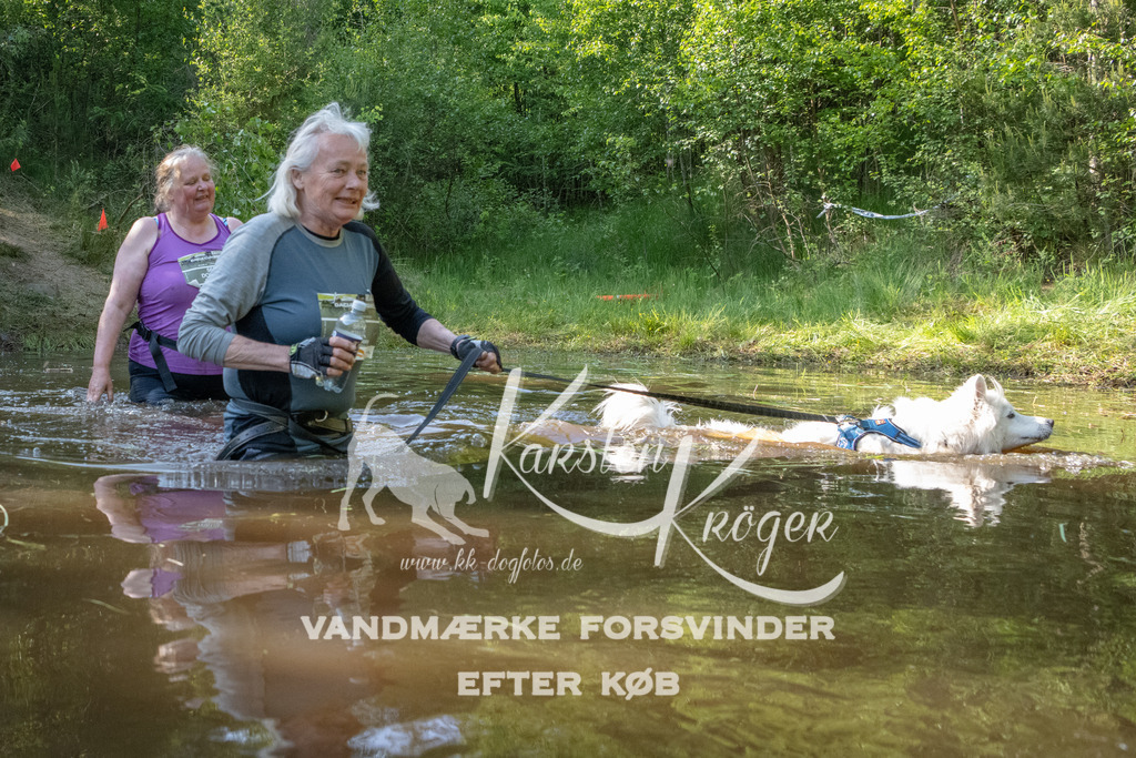 1732DKK992150 | kk-dogfotos