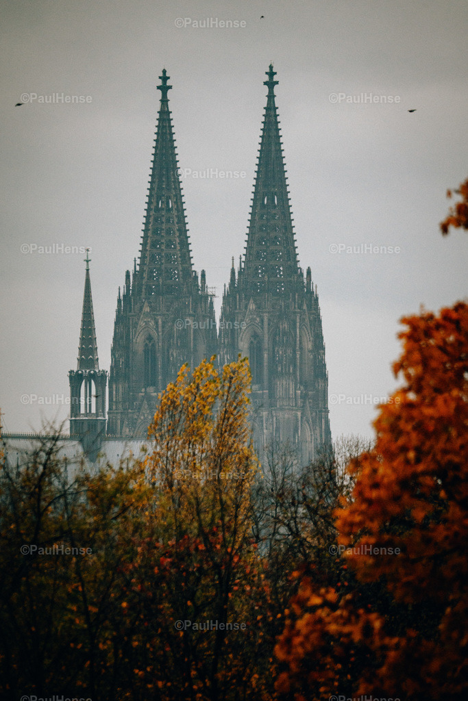 20221120_PaulHense_S0005_DSC03997-2 | paulhense - Realisiert mit Pictrs.com