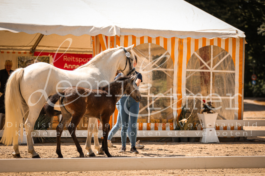 02.DoSR00172 | Leoni Ertmer Photography - Realisiert mit Pictrs.com