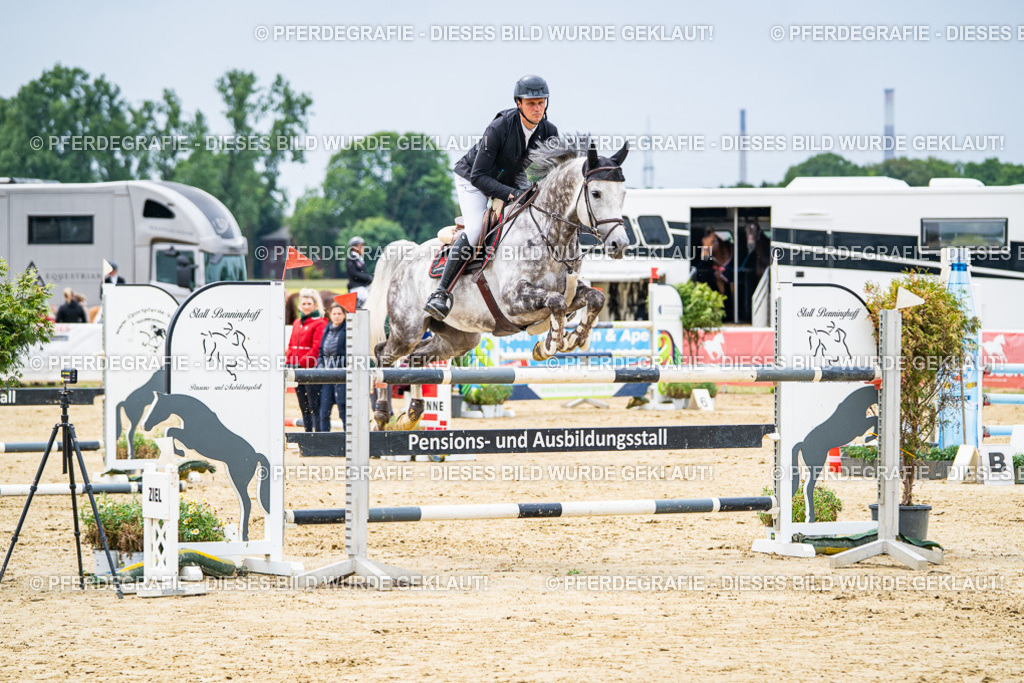 DSC06800 | Pferdegrafie