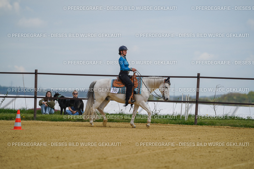 DSC05521 | Pferdegrafie