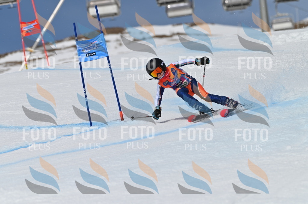 BGV_6720 | holidayphoto