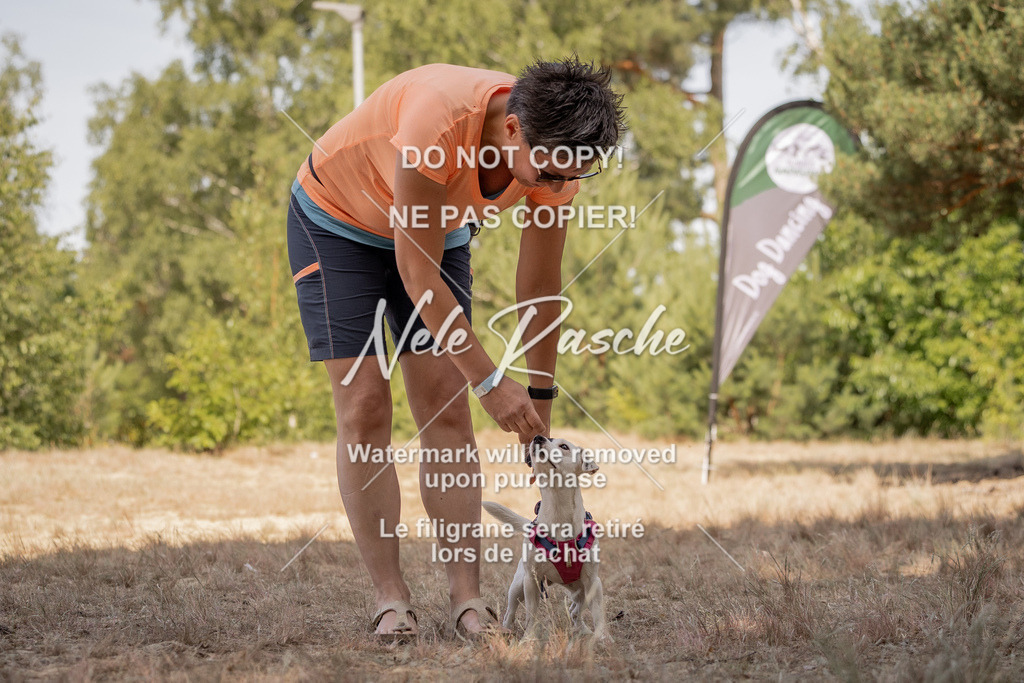 nelerasche_soDD2_219 | nelerasche