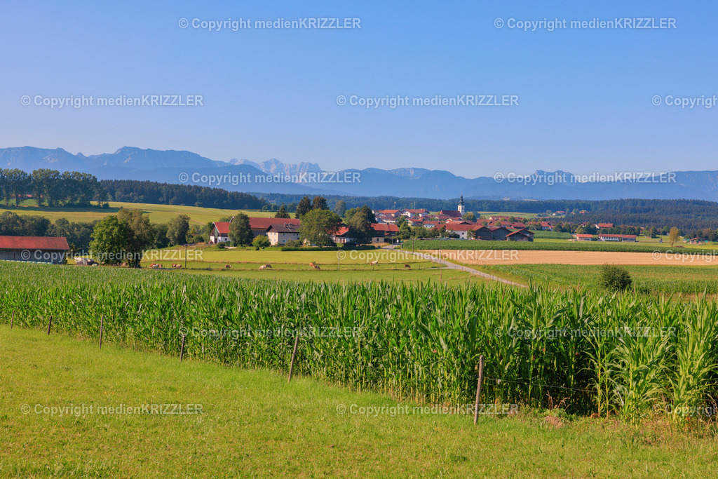 Otting | medienkrizzler - Realisiert mit Pictrs.com