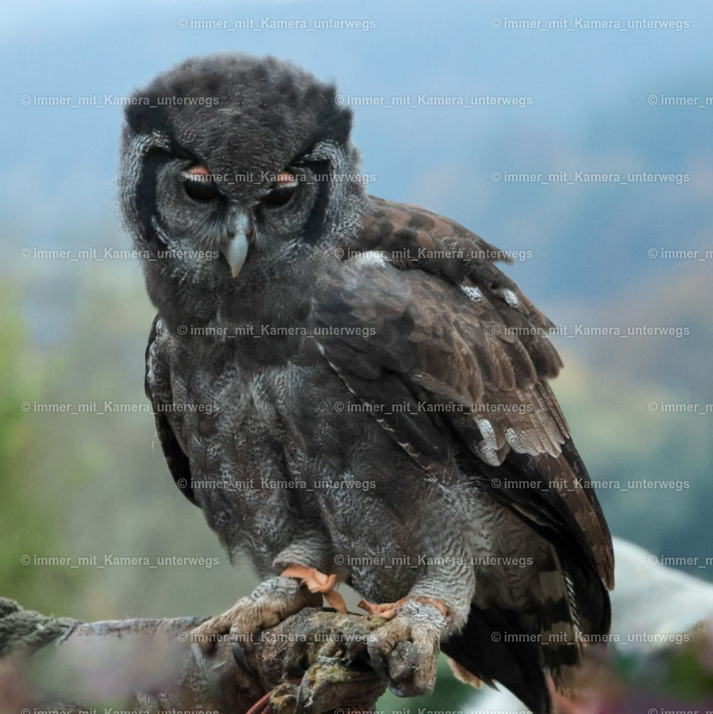 9I4A3919 | immer_mit_kamera_unterwegs