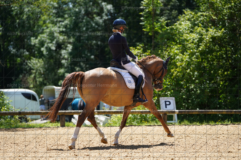 20240705-FAH04038 | Turnierbilder von Grafing, Reitsportbilder, Turnierfotos, Turnierfotografen Bayern, Pferdefotograf, Fotoagentur Herrmann