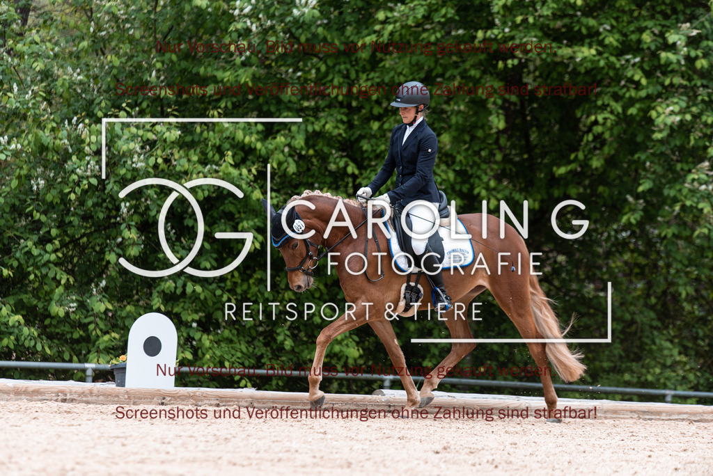 DSC_6996 | Turnierfotografin Carolin Gieschke,Reitsport Turnierfotografie Carolin G Fotografie | Turnierfotos aus Kirchheim/Teck, Esslingen, Stuttgart und dem Bodenseekreis