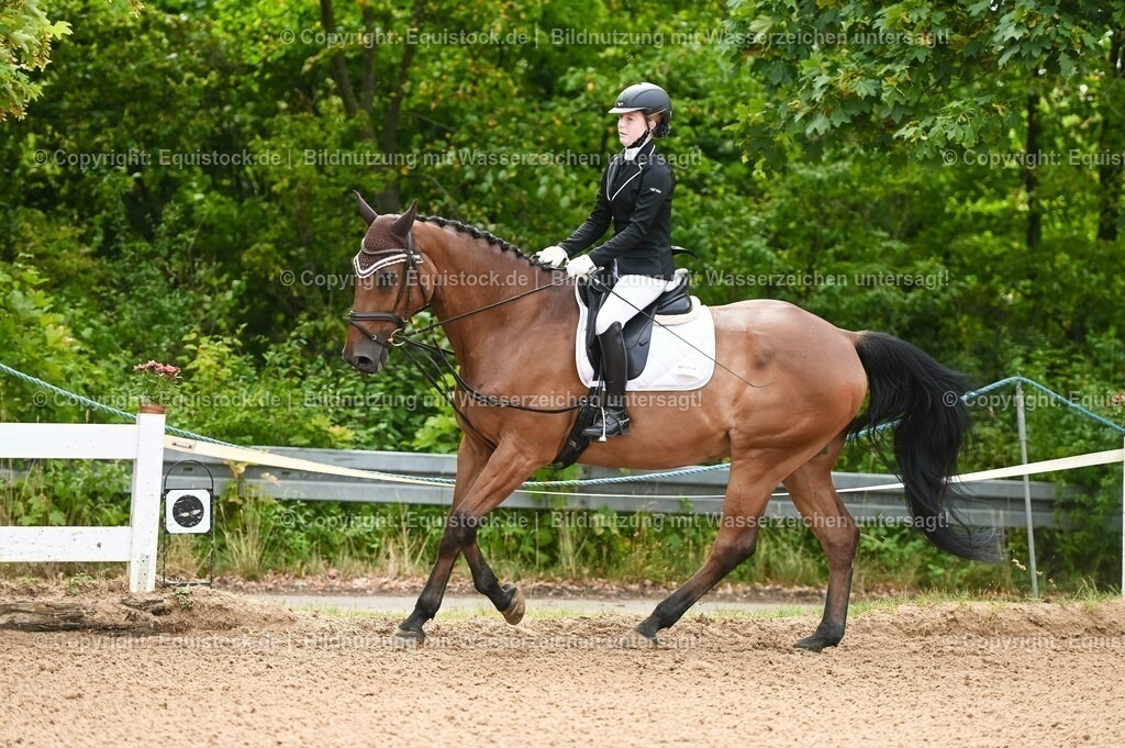 20230716_10-1_Reiter-WB Schritt - Trab - Galopp_0091 | equistock