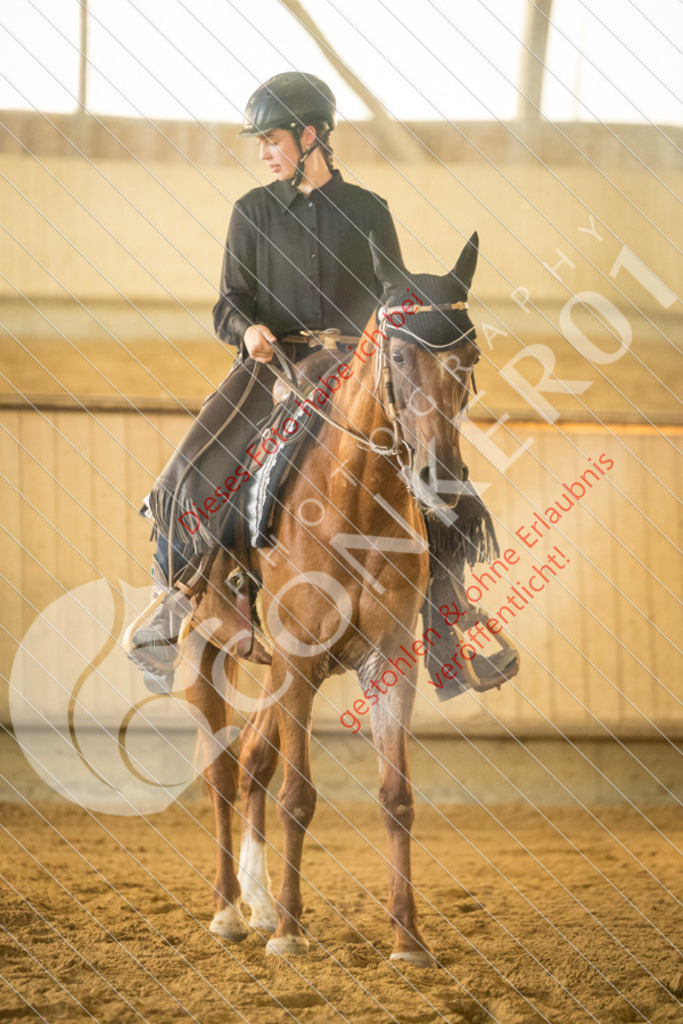 IMG_1641 | Sport-, Event- und Tierfotos in Profiqualität. Einfach auswählen, bestellen und herunterladen. Dein Moment – perfekt festgehalten.