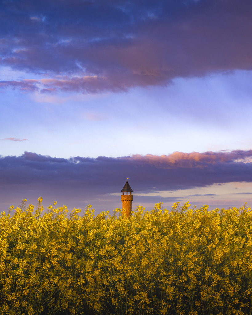 _DSC2372-Enhanced-NR | renerovisanfotoart.com