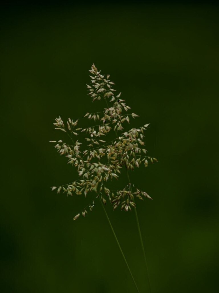 5805601002059665540_121 | mtkfoto_ - Realisiert mit Pictrs.com