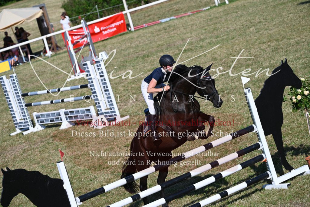DSC_2539 | Pferde- und Turnierfotografie in Westsachsen. Pferdeportraits, Auftragszeichnungen und intuitive Kunst.